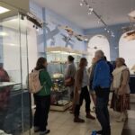 614372136_1541179643786937_6401267353201722701_n