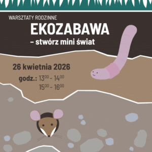 Warsztaty rodzinne. Ekozabawa. Muzeum Zabawek i Zabawy. Kielce.